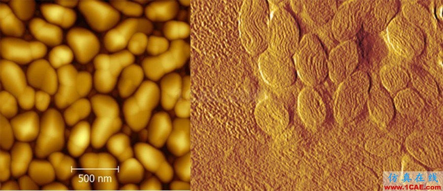 機械設計的高級境界：四大顯微設備SEM、TEM、AFM、STM工作原理，看圖說話機械設計圖例圖片21
