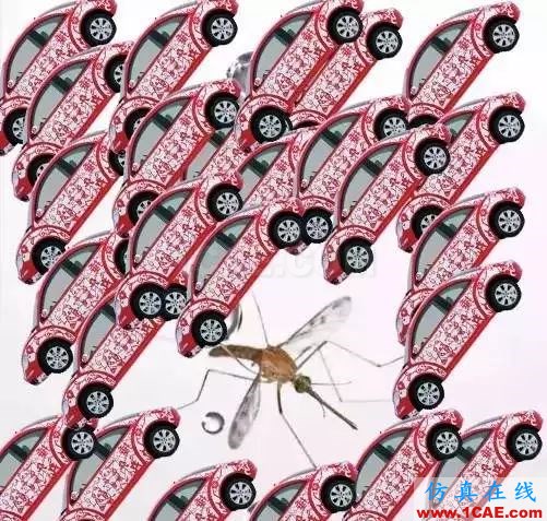 為什么蚊子永遠不會被雨砸死？千萬別被孩子問住了！fluent分析案例圖片6