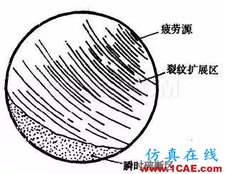 飛機發動機疲勞及抗疲勞方法ansys圖片4