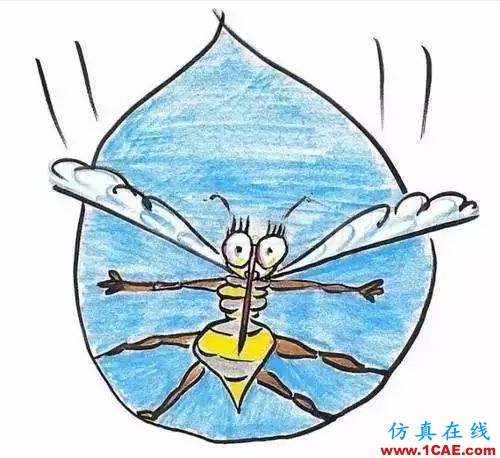 為什么蚊子永遠不會被雨砸死？千萬別被孩子問住了！fluent流體分析圖片12